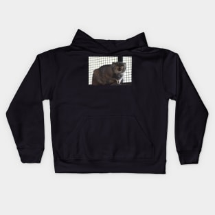 Angry Pallas Cat Kids Hoodie